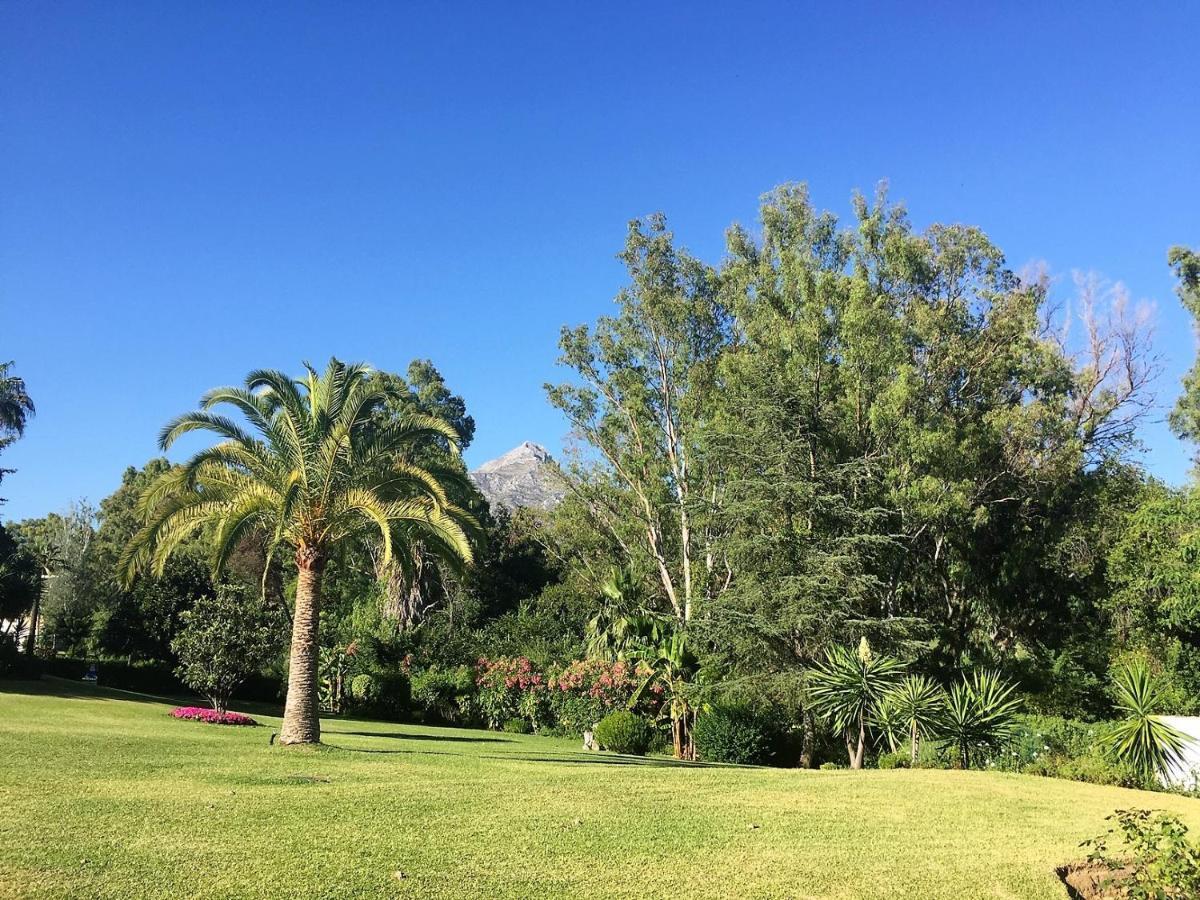 شقة Nueva Andalucia - Penthouse ماربيا المظهر الخارجي الصورة